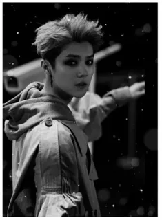 🖤 019c7733 person, man, portrait, hoodie, black and white, glamour, fashion telegram sticker