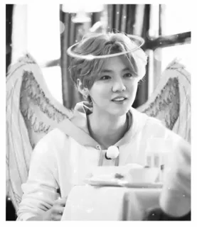 🖤 44f778f5 angel, wings, halo, person, black and white, portrait telegram sticker