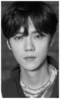 🖤 51d68af5 telegram sticker