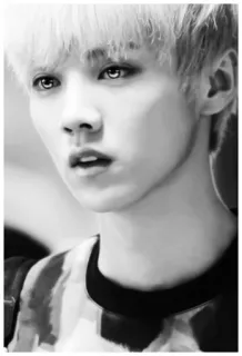 🖤 5442a03e telegram sticker