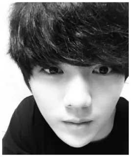 🖤 5bf14491 telegram sticker