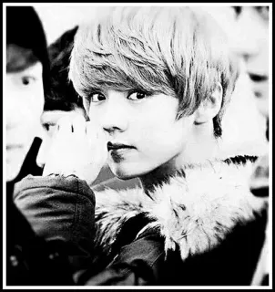 🖤 6396de55 telegram sticker