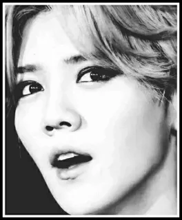 🖤 804cdefe telegram sticker