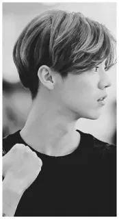 🖤 84f1e93c man, portrait, person, hairstyle, black and white telegram sticker