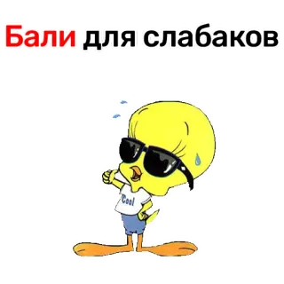 Duck @stickersb2b telegram stickers