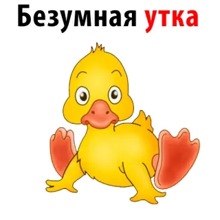 🐣 285584a0 Безумная утка เป็ด, การ์ตูน, สัตว์, นก, น่ารัก, ตลก telegram sticker