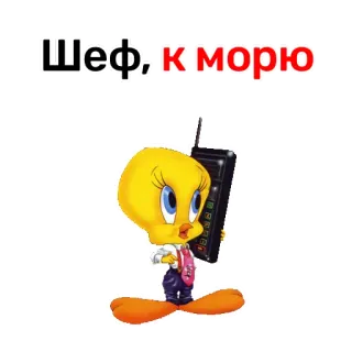 🏖 51a30ed3 Tweety Bird Шеф, к морю ทวิตตี้, นก, การ์ตูน, โทรศัพท์, ท่องเที่ยว, ทะเล, เจ้านาย telegram sticker