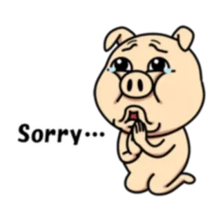 🙏 8a310d33 Sorry... หมู, ขอโทษ, เสียใจ, การ์ตูน, น่ารัก telegram sticker