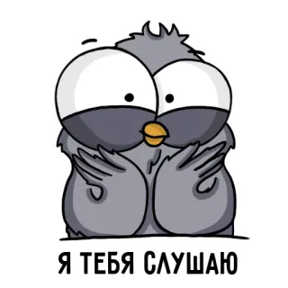 😃 374771cd Я ТЕБЯ СЛУШАЮ pombo, ouvindo, desenho animado, pássaro, olhos, olhos grandes telegram sticker