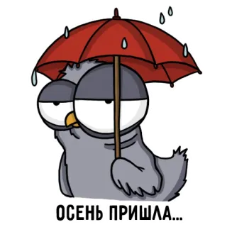 😫 b60f0191 ОСЕНЬ ПРИШЛА... pombo, guarda-chuva, outono, outono, chuva, pássaro, desenho animado, sombrio telegram sticker
