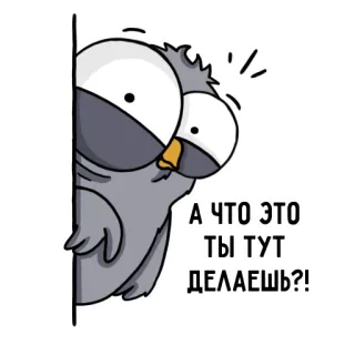 😀 f2183e2f А ЧТО ЭТО ТЫ ТУТ ДЕЛАЕШЬ?! coruja, desenho animado, adesivo, pássaro, pergunta, olhando telegram sticker