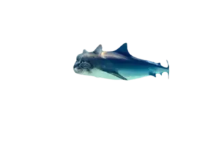 CatFaces telegram stickers