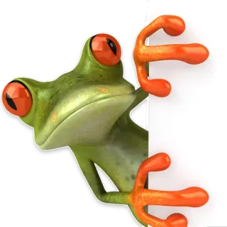 👀 0c03e24f żaba, zwierzę, płaz, kreskówka, ilustracja, słodki, zielony, oczy telegram sticker