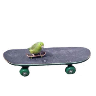 crazy parrots telegram stickers