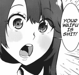 💿 0b629e46 YOUR WAIFU IS SHIT! 动漫, 老婆, 冒犯, 侮辱, 漫画 telegram sticker