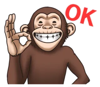 👌 285c001b OK 猴子, 好的, 冒犯手势 telegram sticker
