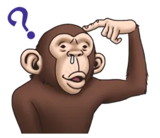 ❓ 6f3c9c5b 猴子, 思考, 问题, 困惑 telegram sticker