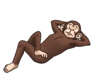 🙃 baa2eafa 猴子, 动物, 放松, 躺着, 卡通, 放松 telegram sticker