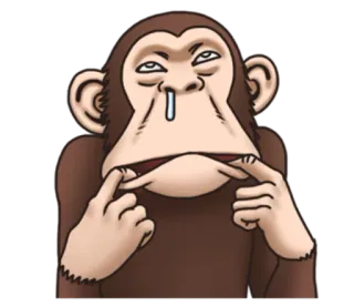 😶 bde30eca 猴子, 动物, 梗, 搞笑, 猿 telegram sticker