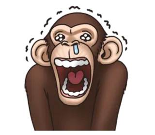 😖 c2ee68ba 猴子, 哭泣, 悲伤, 动物, 猿 telegram sticker