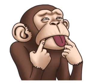 😝 de7de242 猴子, 搞笑, 脸, 动物 telegram sticker