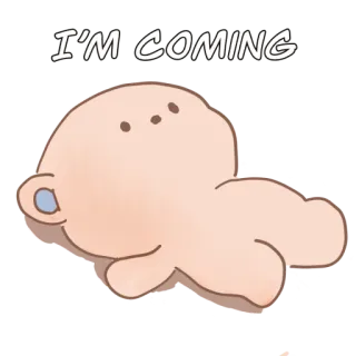 Creartestudio Yoki Poki whatsapp stickers