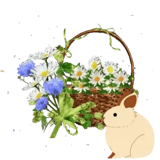 @creatioss Весна 🌸 telegram stickers
