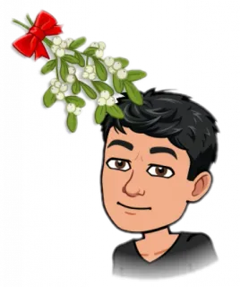 😊 1c5516a5 vischio, bacio, vacanze, natale, saluti, Bitmoji whatsapp sticker