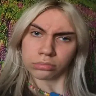 🤨 8d2c9556 telegram sticker