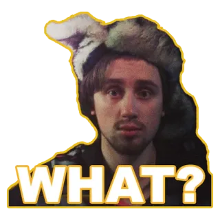 😕 9dc904d6 WHAT? homme, chapeau, question, expression, confus, mème telegram sticker