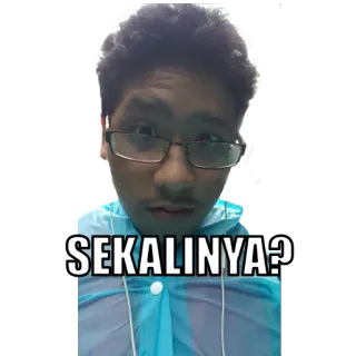 😠 b05c6df8 SEKALINYA? 밈, 인물 사진, 안경, 텍스트, 표정 telegram sticker
