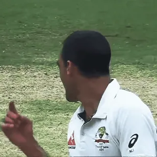 😎 b3d8382d クリケット, スポーツ, アスリート, 中指, ジェスチャー, 攻撃的 telegram sticker