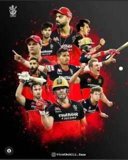 😌 59272bc1 viratkohlii.fans Cricket, Equipo, Jugadores, Deporte telegram sticker