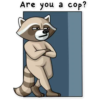 😑 5c76b221 Are you a cop? raton laveur, policier, police, animal, question, dessin animé telegram sticker