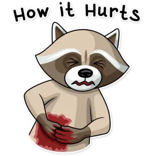 😵 79011c06 How it Hurts raton laveur, blessé, douleur, blessure, sang, dessin animé telegram sticker