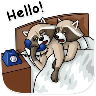 ☎ a201412a Hello! ratons laveurs, téléphone, lit, dessin animé, animaux, bonjour, parler telegram sticker