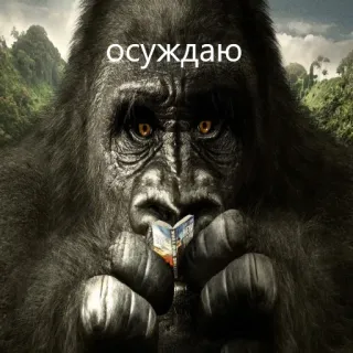 🦍 3e78c63f осуждаю gorilla, animal,  осуждаю, book telegram sticker