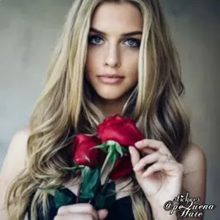 💐 6c8e1123 stickers
@ pequena
Hate ผู้หญิง, ภาพเหมือน, ดอกไม้, ดอกกุหลาบ, สติกเกอร์, สีบลอนด์ telegram sticker