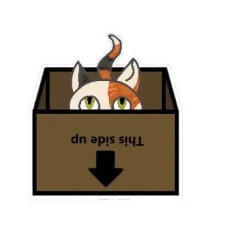🐈 bc09e8f8 This side up kucing, kotak, panah, sisi atas, hewan, stiker whatsapp sticker