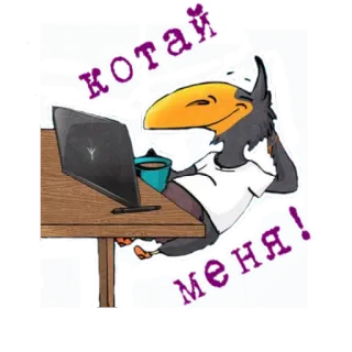🦅 cb5ff63f хотай меня! oiseau, ordinateur portable, café, corbeau, dessin animé whatsapp sticker