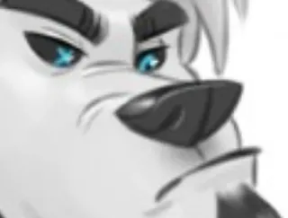 ☹️ c6f88f49 dog, pet, cartoon, animal telegram sticker