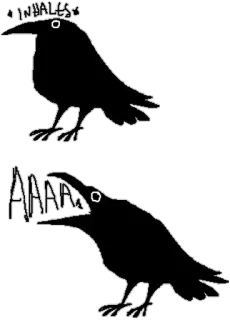 👌 9b450eef INHALLS AAAAAA pájaro, cuervo, negro, inhalar, grito, dibujo whatsapp sticker