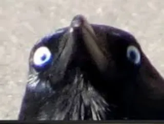 Cгσш Μσσd ⚫️ @Your_Delicious whatsapp stickers