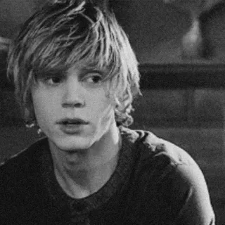 🔪 2722d417 evan peters, diễn viên, đen trắng, chân dung telegram sticker