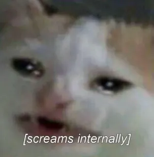 💧 15b6231d screams internally chat, mème, cri, intérieurement, animal, drôle whatsapp sticker