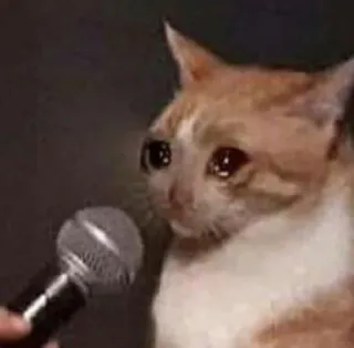 Crying Cat, @icarusfalls telegram stickers