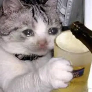 Crying Cat, @icarusfalls telegram stickers