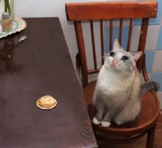 💧 d4cd9201 crêpe, nourriture, petit déjeuner whatsapp sticker