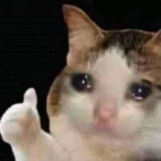 💧 ead2fe92 chat, triste, mème, pouce levé, pleurer whatsapp sticker