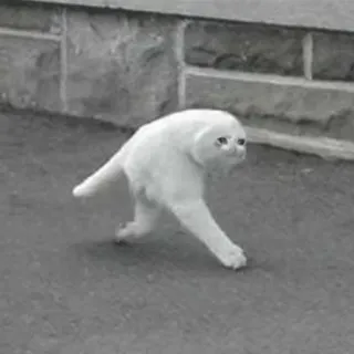 😭 51910c15 gato, animal, caminando, blanco, divertido telegram sticker